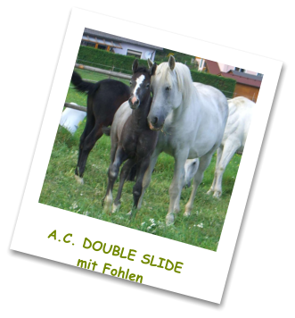 A.C. DOUBLE SLIDEmit Fohlen